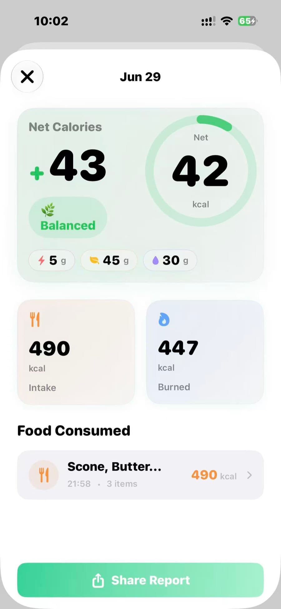 A Feedii daily report — net calories, intake, and energy burned for the day.